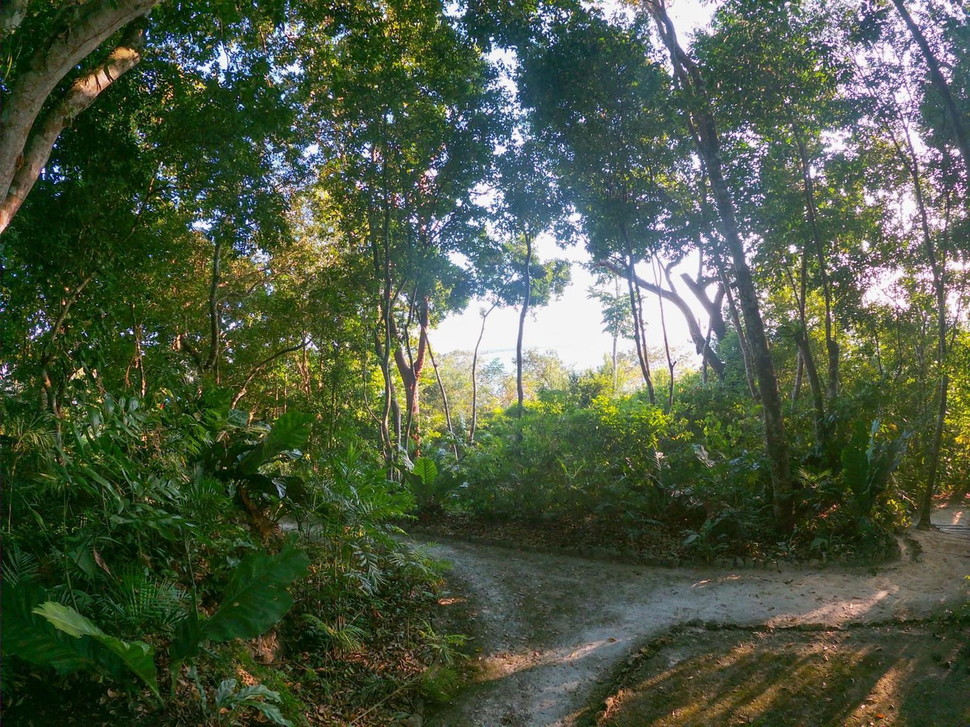 Posada Del Cerro El Remate Exteriér fotografie